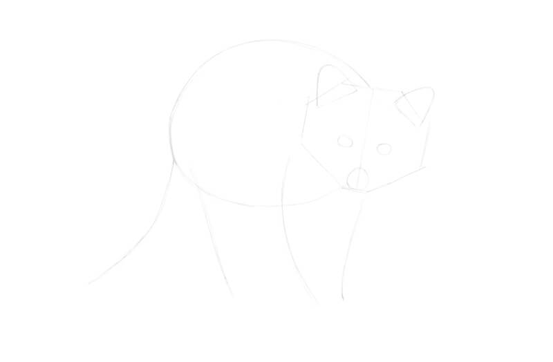 画的主体与铅笔浣熊