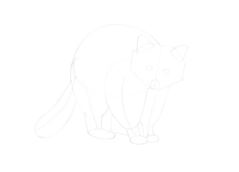 精炼浣熊的绘图铅笔