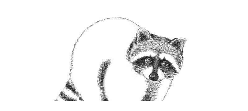 将笔和墨水添加到鼻子