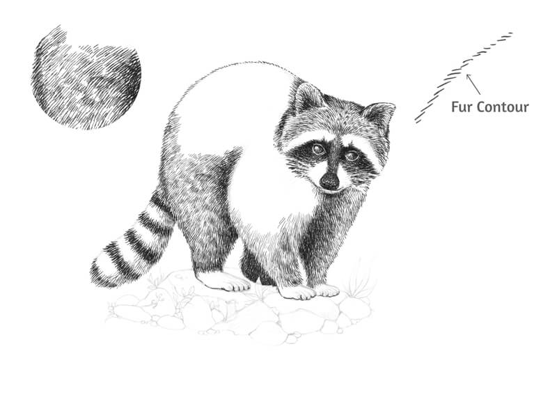 创建毛皮质地用钢笔和墨水