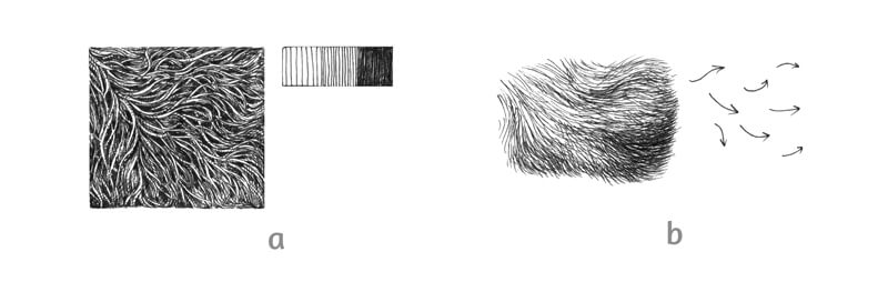 用钢笔和墨水画毛皮