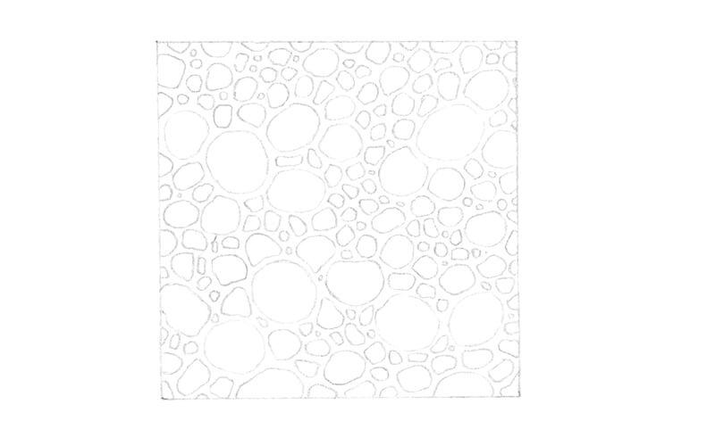 画的轮廓蜥蜴鳞片