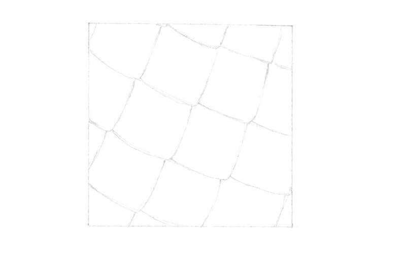 画一个蛇鳞的框架