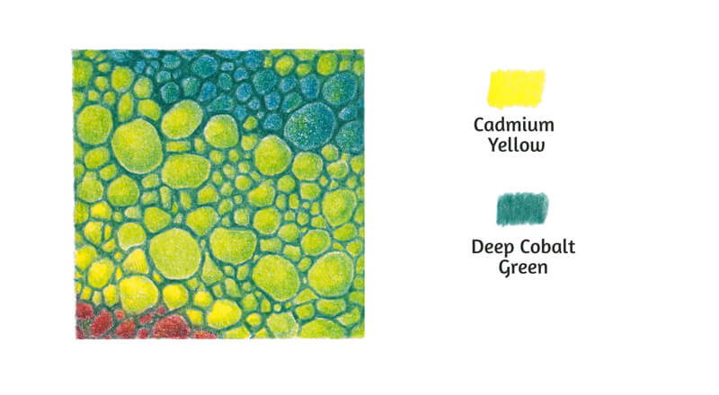 画黄色和蓝色蜥蜴鳞片