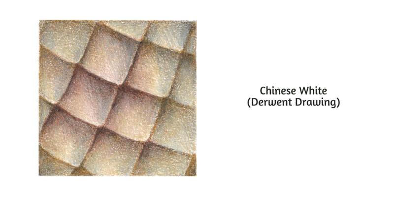 抛光蛇鳞片与白色的彩色铅笔画画