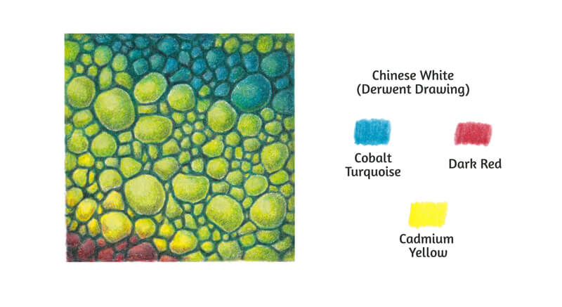 如何画蜥蜴尺度