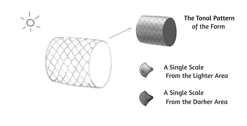 值上发现的主要形式