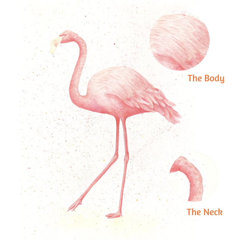 通过添加彩色铅笔纹理创建