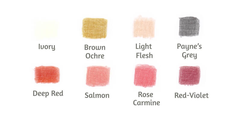 彩色铅笔颜色用于火烈鸟