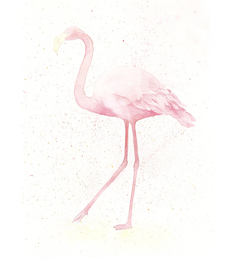 添加与水彩画水彩飞溅