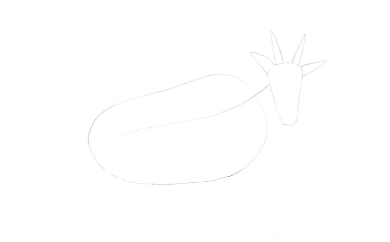 山羊的基本形状