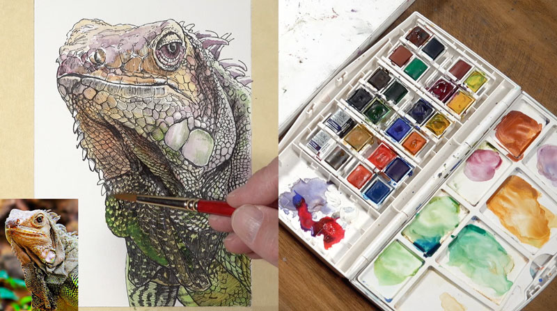 逐渐变深值和额外的水彩