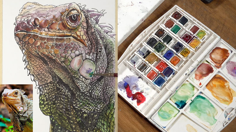 添加持久性有机污染物与水彩颜色