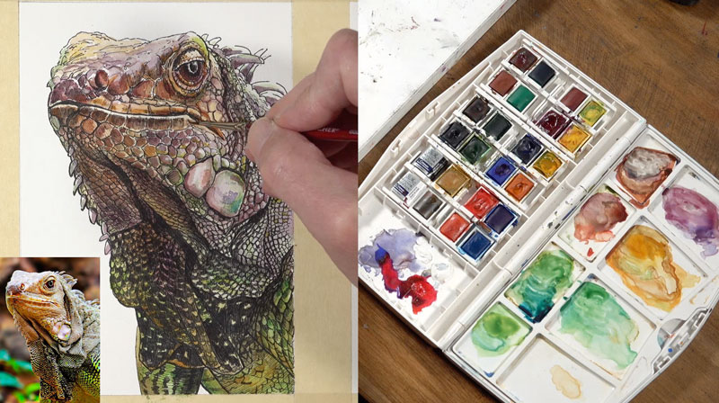 完成水彩的应用程序