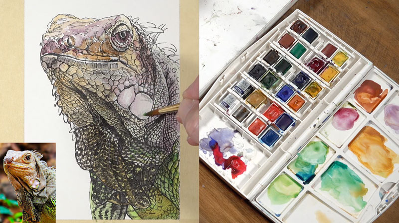 分层水彩颜色深度清洗