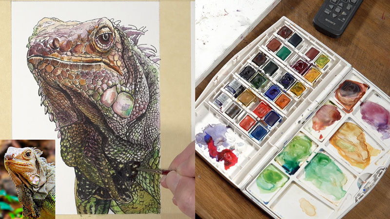 描述了光源的颜色值