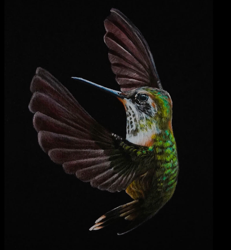 图纸与亮度彩色铅笔