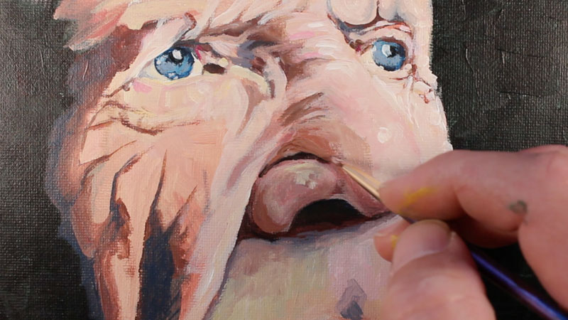 发展中鼻子周围的颜色