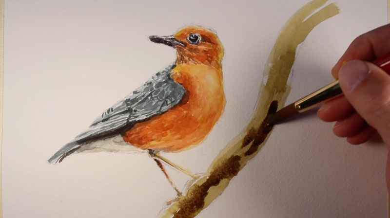 将颜色添加到分支