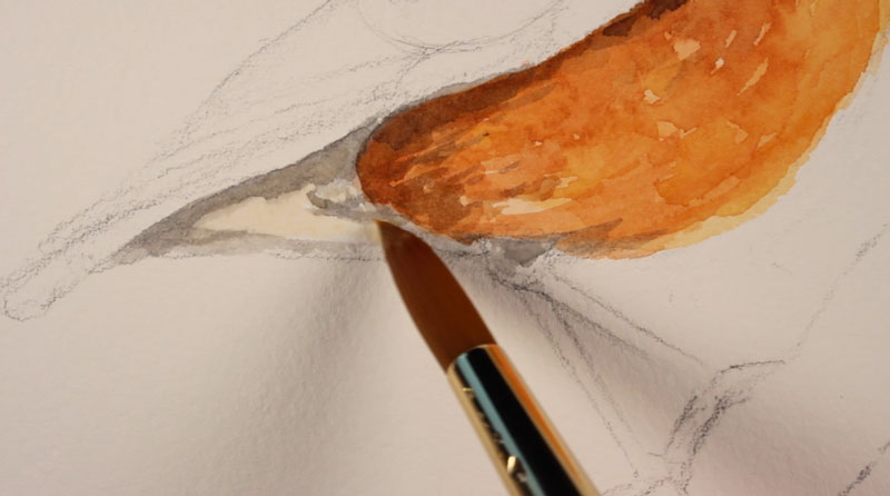 添加阴影下的身体