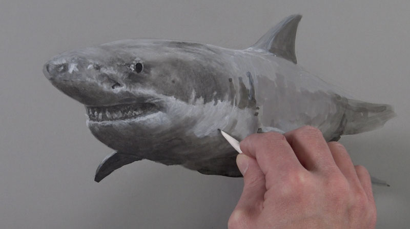 混合木炭的应用程序