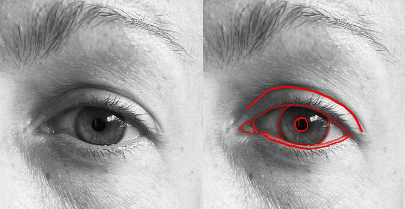 怎样画眼睛的轮廓