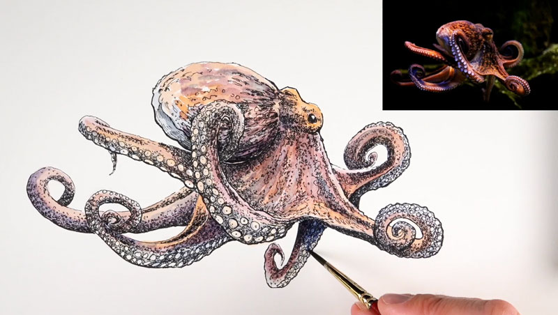 建立与水彩颜色强度