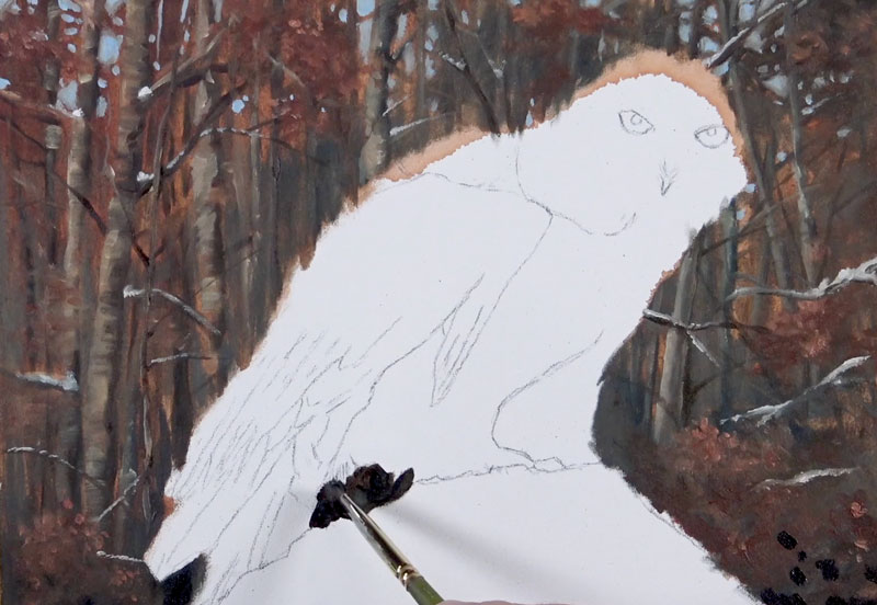 精炼的树木的背景