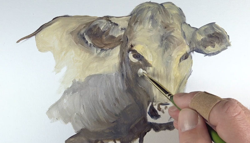 增加当地的颜色绘画