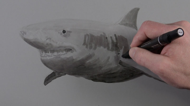 标志应用程序的整个身体