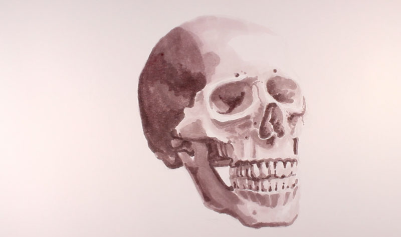 增加的范围值和标记