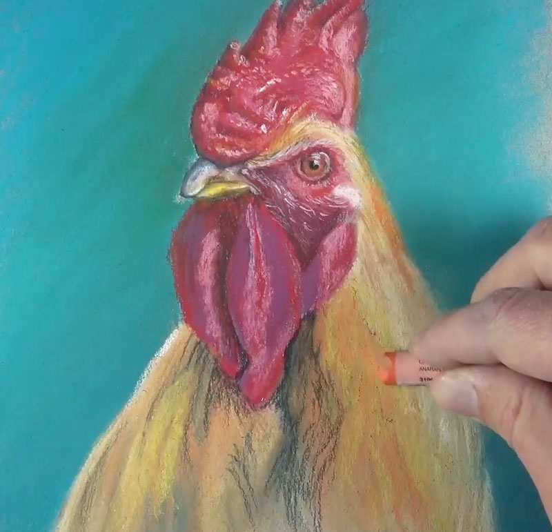 将颜色添加到身体