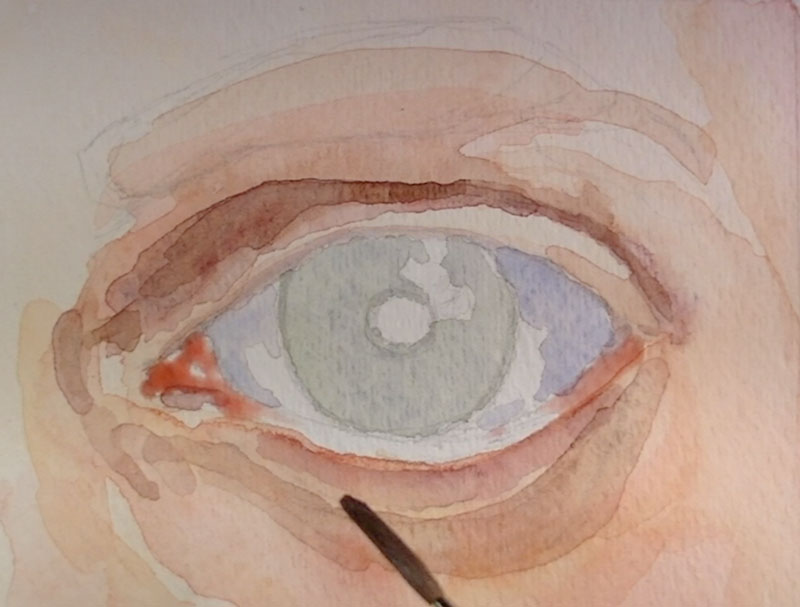 颜色是画在虹膜和泪腺