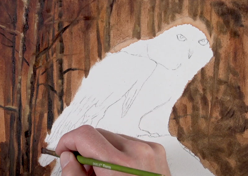 绘画在后台橙子