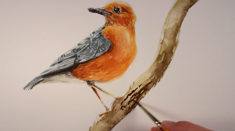 添加纹理的分支