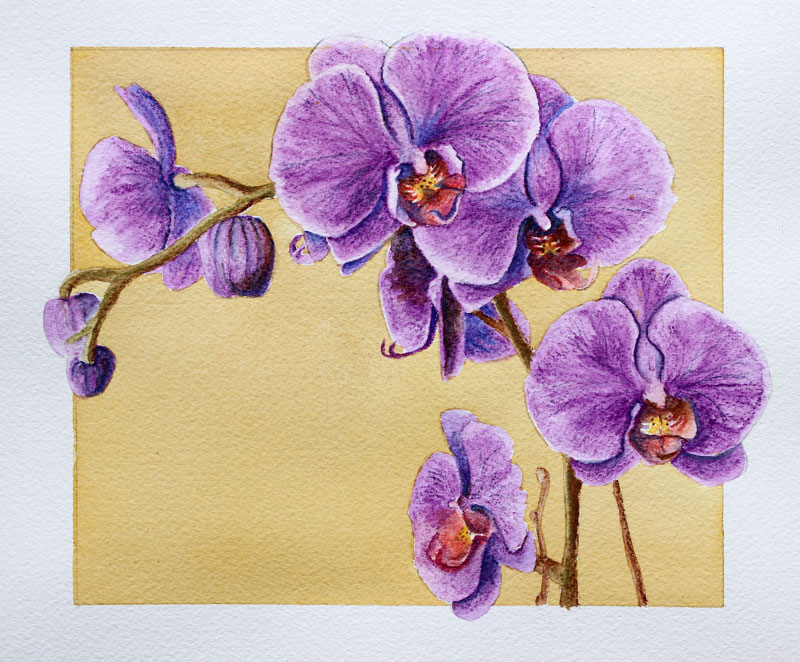 水彩笔在冷压纸上绘制