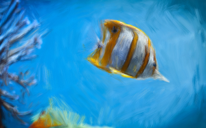 完成绘画的照片