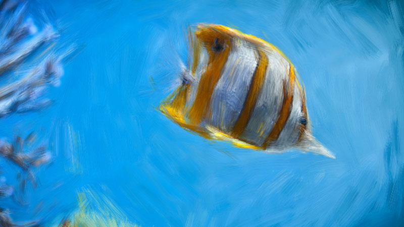 把照片变成一幅画