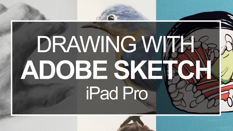 图纸与Adobe草图