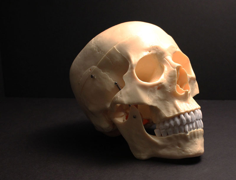 静物拍摄照片框