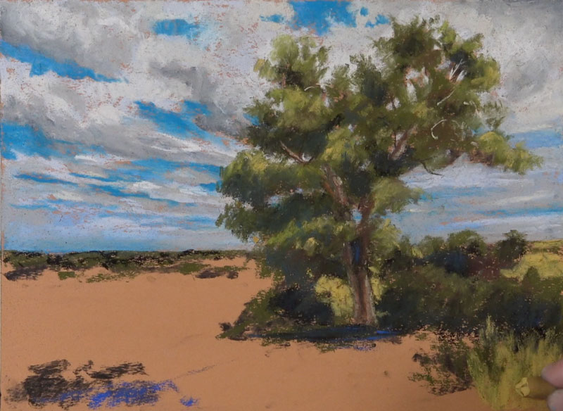 发展在树上的范围值