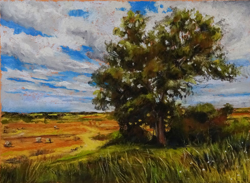 如何用彩笔画一棵树吗