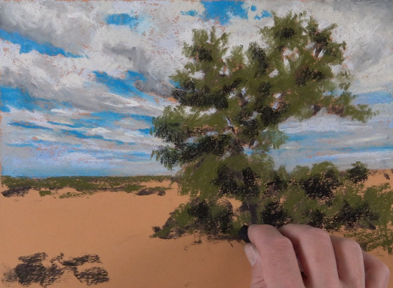 绘画在树的阴影