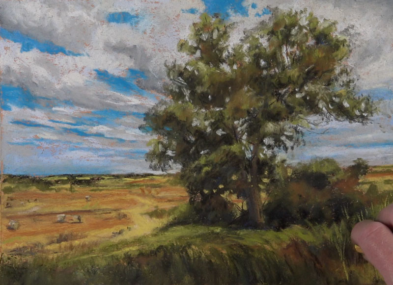 画草用彩笔在前台