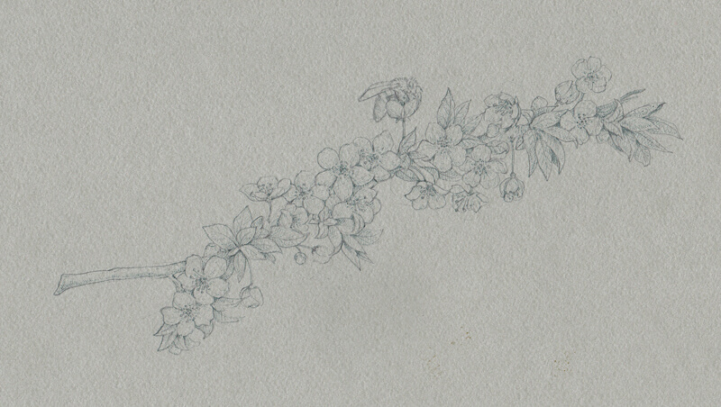 应用灰色墨水班轮图纸