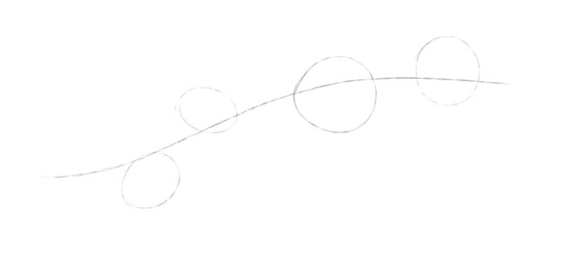 素描的基本形状的花