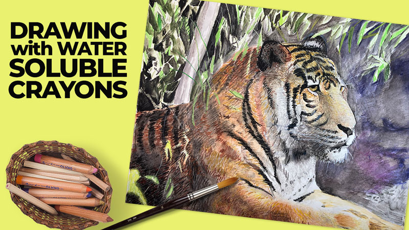 与水溶性蜡笔画一只老虎