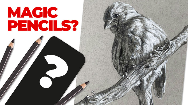 哑光石墨铅笔石墨-没有更多的光芒