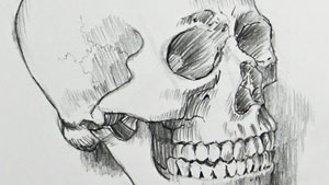 25天更好的图纸,图纸基本形式