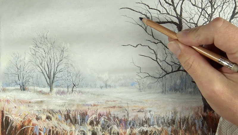 在一个冬天的树枝